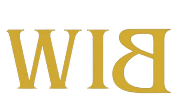 WiB carcasas